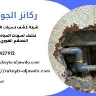 افضل شركة كشف تسربات المياه بسيهات