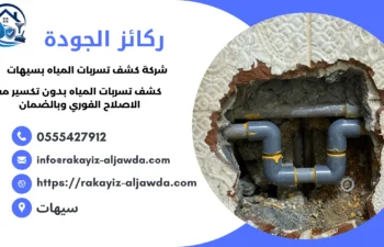 افضل شركة كشف تسربات المياه بسيهات